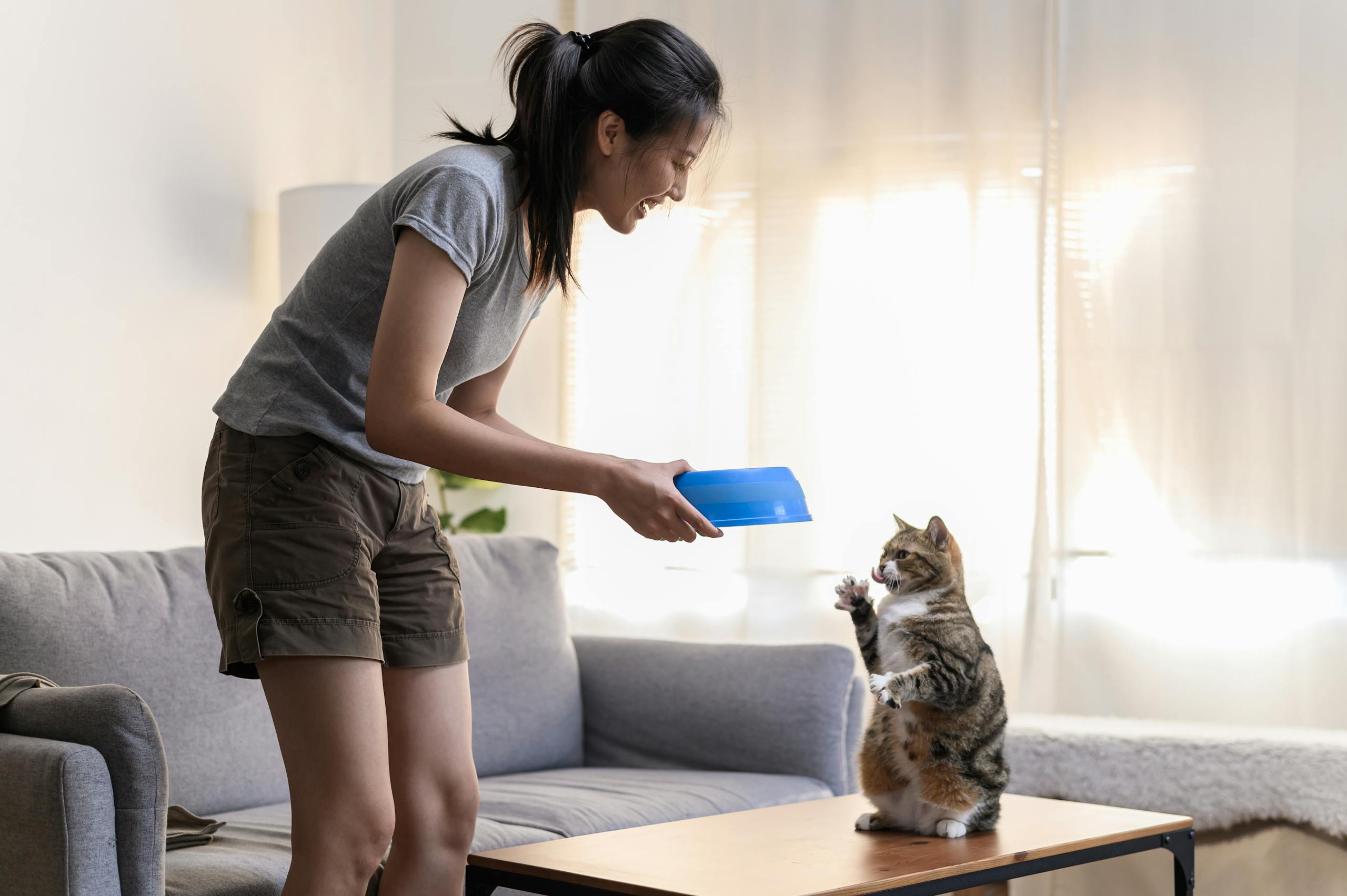 Woman engaging with her pet cat using a blue bowl on a living room table.