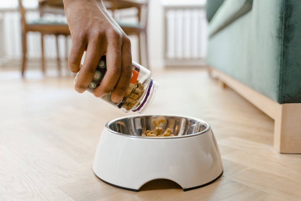 Close-up of a hand pouring dog food from a container into a white dog bowl on a wooden floor indoors.